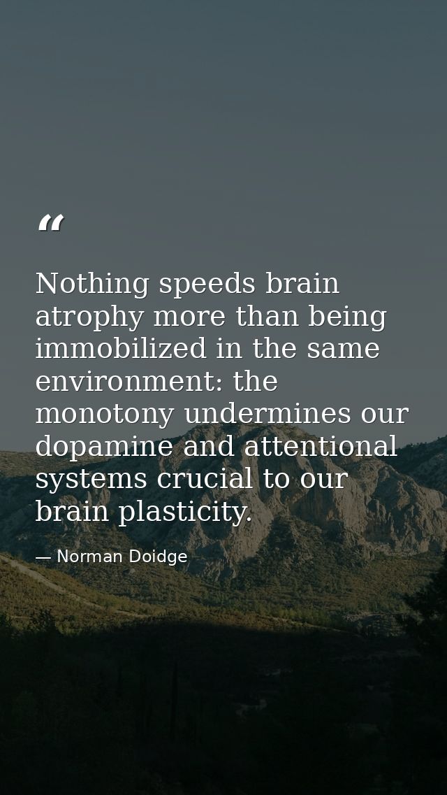 Nothing speeds brain atrophy more than being immobilized in the same environment: the monotony undermines our dopamine a — Norman Doidge