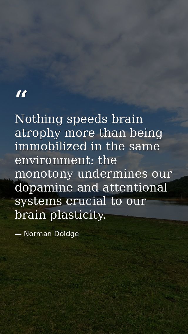 Nothing speeds brain atrophy more than being immobilized in the same environment: the monotony undermines our dopamine a — Norman Doidge