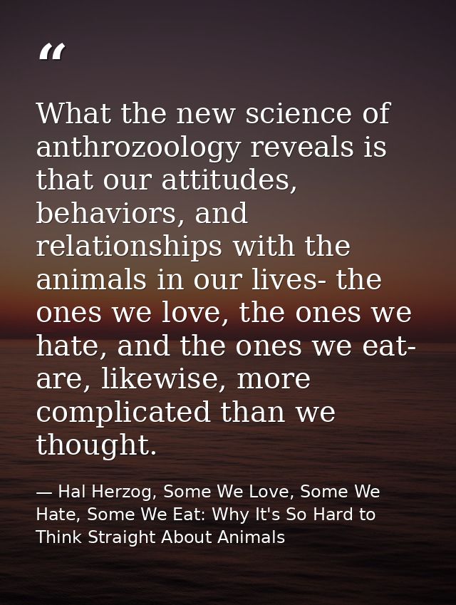 What the new science of anthrozoology reveals is that our attitudes, behaviors, and relationships with the animals in ou — Hal Herzog, Some We Love, Some We Hate, Some We Eat: Why It's So Hard to Think Straight About Animals