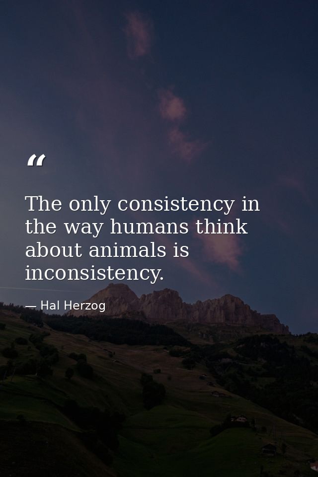 The only consistency in the way humans think about animals is inconsistency. — Hal Herzog
