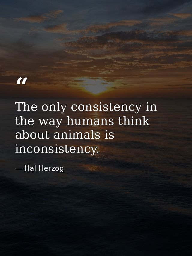 The only consistency in the way humans think about animals is inconsistency. — Hal Herzog