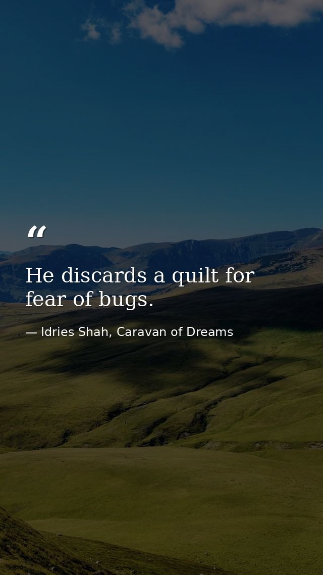 He discards a quilt for fear of bugs. — Idries Shah, Caravan of Dreams