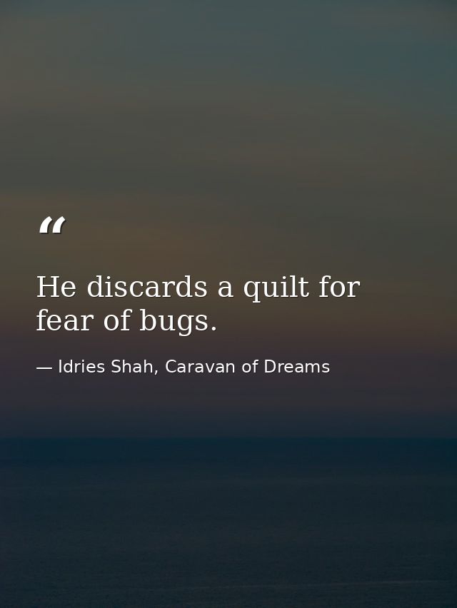He discards a quilt for fear of bugs. — Idries Shah, Caravan of Dreams