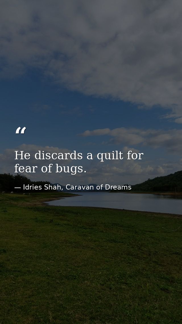 He discards a quilt for fear of bugs. — Idries Shah, Caravan of Dreams