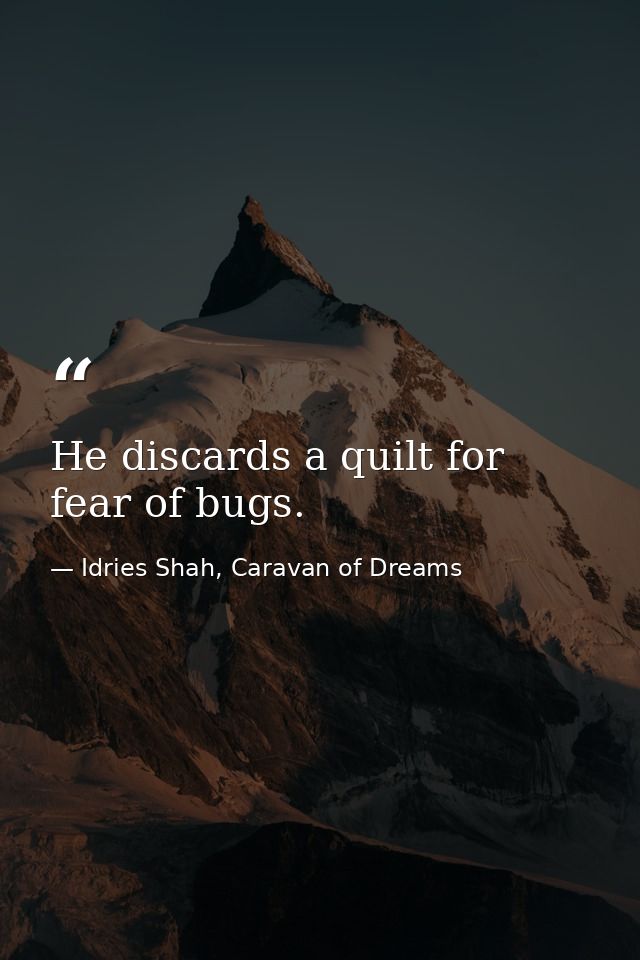 He discards a quilt for fear of bugs. — Idries Shah, Caravan of Dreams
