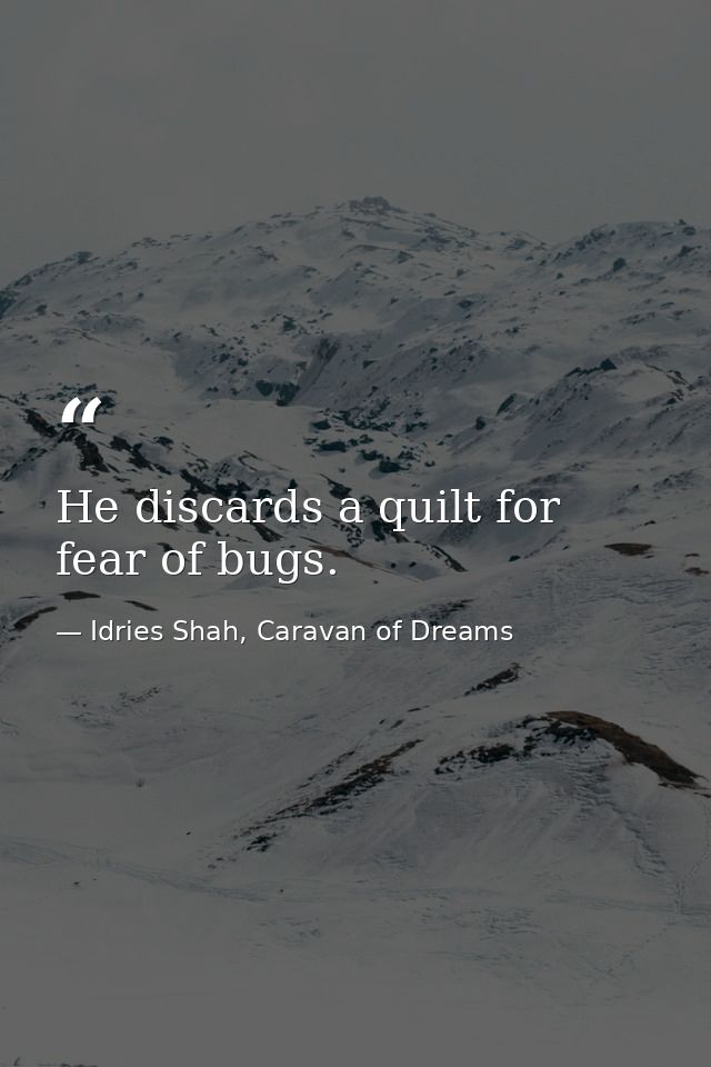 He discards a quilt for fear of bugs. — Idries Shah, Caravan of Dreams