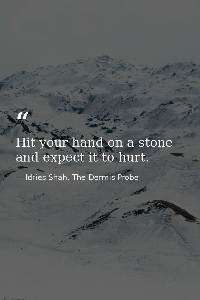 Hit your hand on a stone and expect it to hurt. — Idries Shah, The Dermis Probe