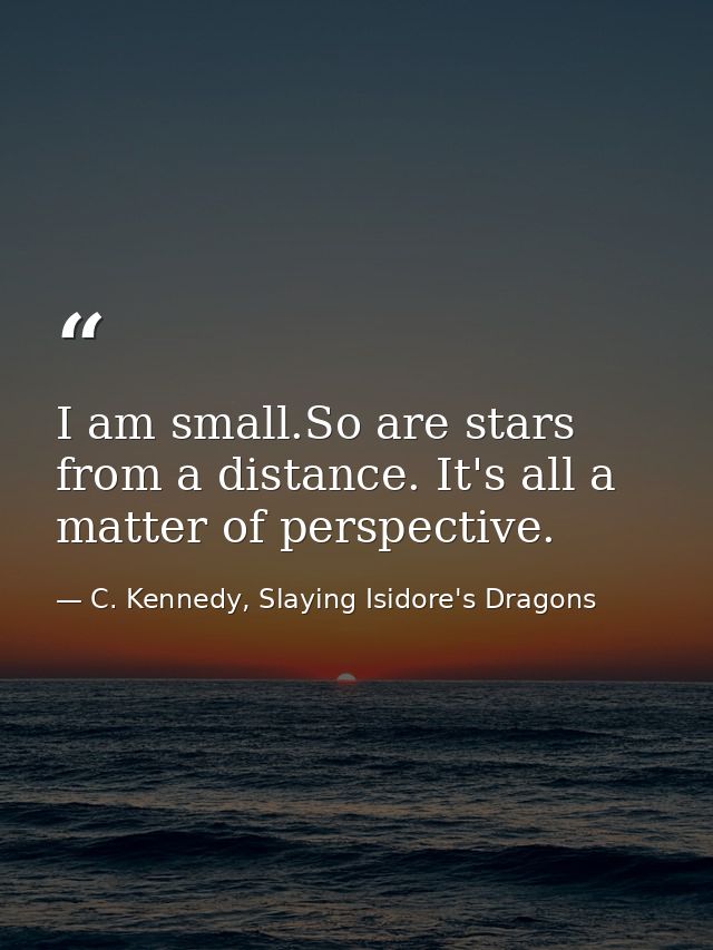 I am small.So are stars from a distance. It's all a matter of perspective. — C. Kennedy, Slaying Isidore's Dragons