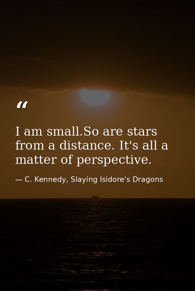 I am small.So are stars from a distance. It's all a matter of perspective. — C. Kennedy, Slaying Isidore's Dragons
