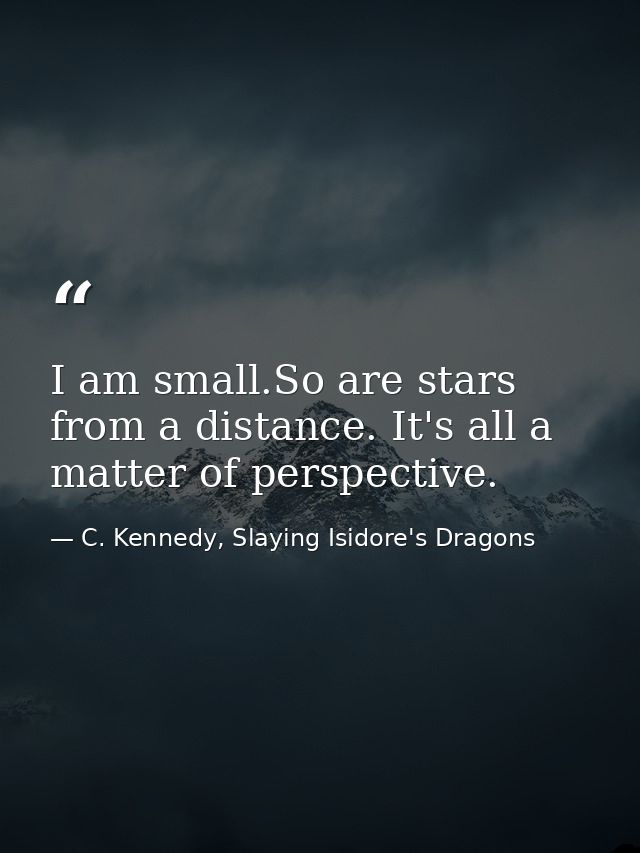 I am small.So are stars from a distance. It's all a matter of perspective. — C. Kennedy, Slaying Isidore's Dragons