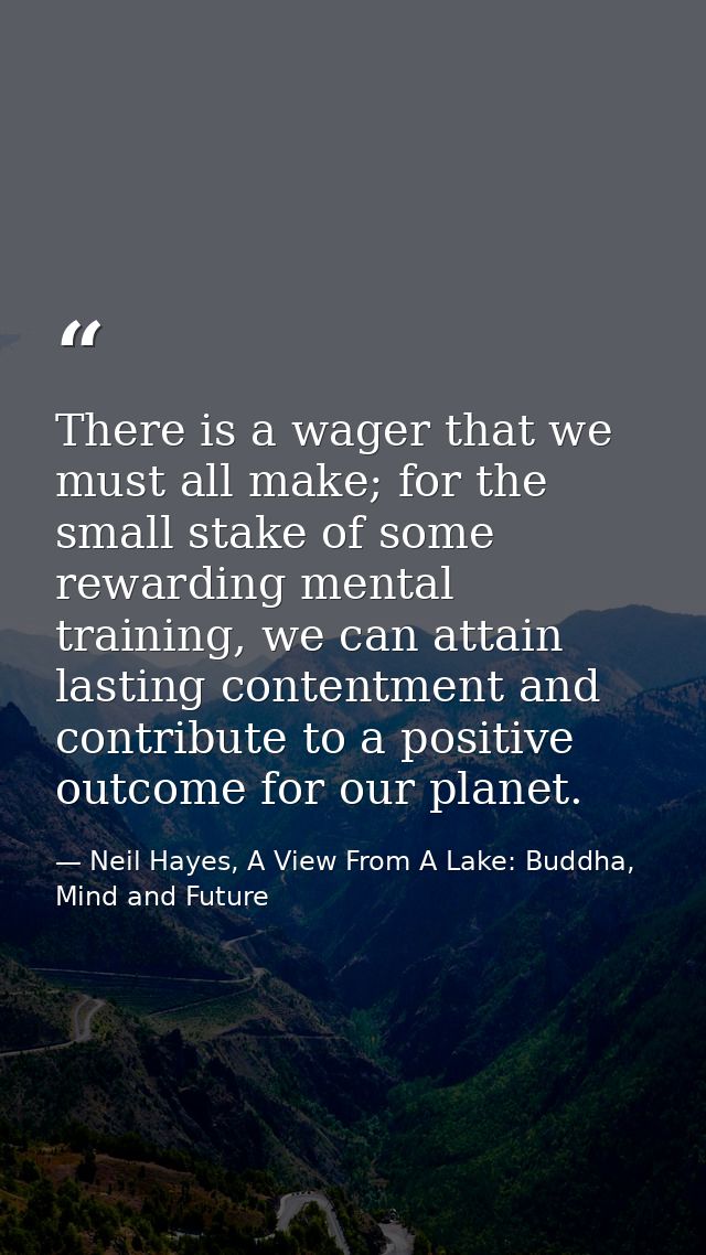There is a wager that we must all make; for the small stake of some rewarding mental training, we can attain lasting con — Neil Hayes, A View From A Lake: Buddha, Mind and Future