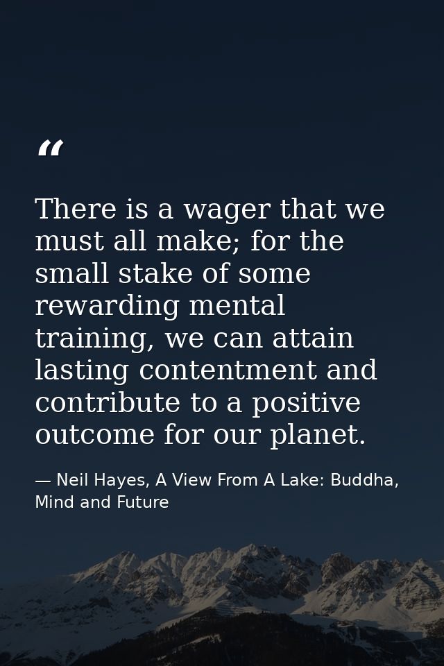 There is a wager that we must all make; for the small stake of some rewarding mental training, we can attain lasting con — Neil Hayes, A View From A Lake: Buddha, Mind and Future