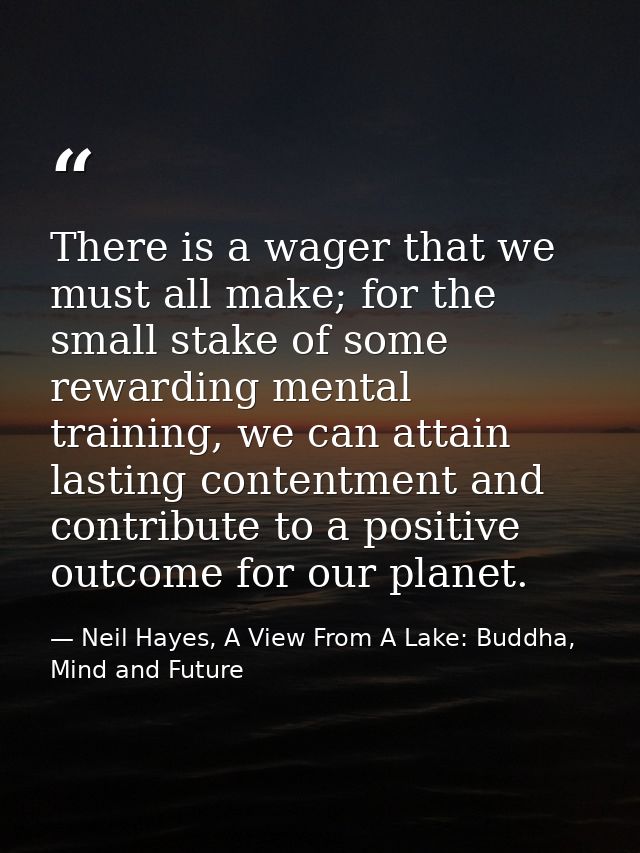 There is a wager that we must all make; for the small stake of some rewarding mental training, we can attain lasting con — Neil Hayes, A View From A Lake: Buddha, Mind and Future