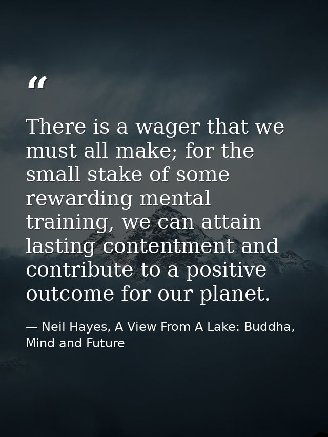 There is a wager that we must all make; for the small stake of some rewarding mental training, we can attain lasting con — Neil Hayes, A View From A Lake: Buddha, Mind and Future