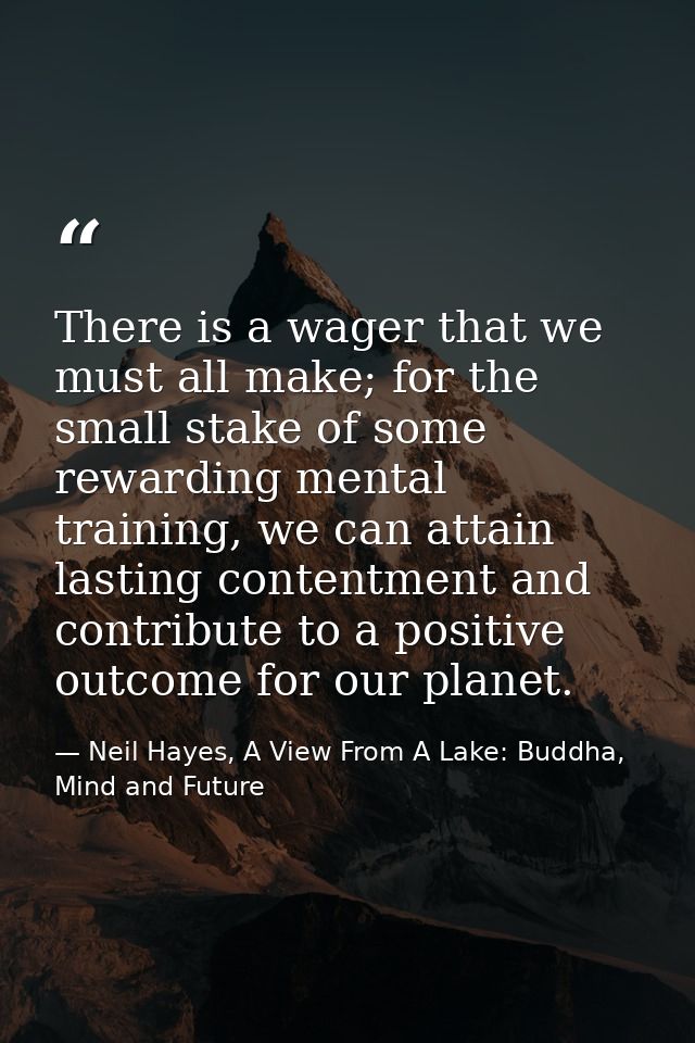 There is a wager that we must all make; for the small stake of some rewarding mental training, we can attain lasting con — Neil Hayes, A View From A Lake: Buddha, Mind and Future