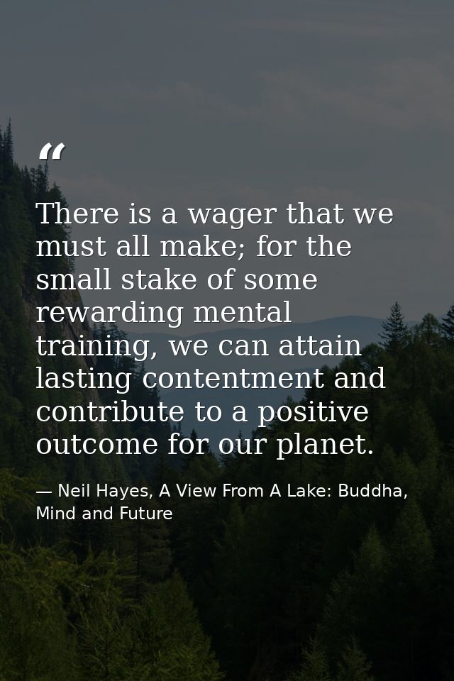 There is a wager that we must all make; for the small stake of some rewarding mental training, we can attain lasting con — Neil Hayes, A View From A Lake: Buddha, Mind and Future