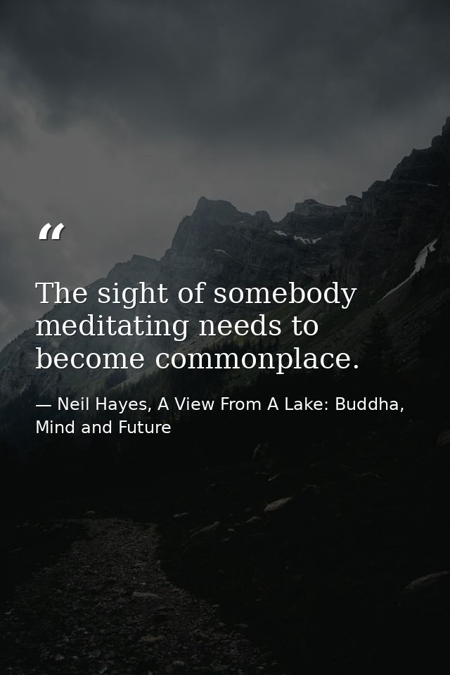 The sight of somebody meditating needs to become commonplace. — Neil Hayes, A View From A Lake: Buddha, Mind and Future
