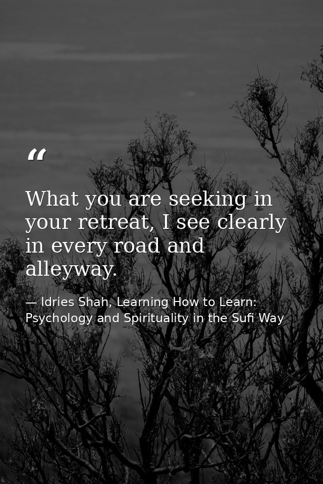What you are seeking in your retreat, I see clearly in every road and alleyway. — Idries Shah, Learning How to Learn: Psychology and Spirituality in the Sufi Way