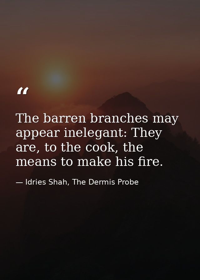 The barren branches may appear inelegant: They are, to the cook, the means to make his fire. — Idries Shah, The Dermis Probe