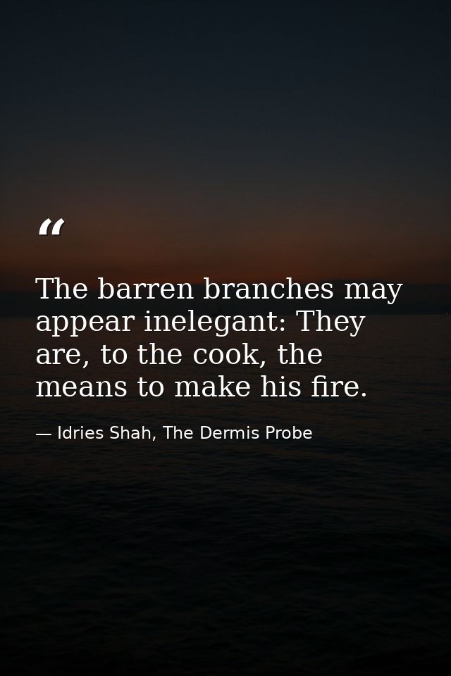 The barren branches may appear inelegant: They are, to the cook, the means to make his fire. — Idries Shah, The Dermis Probe