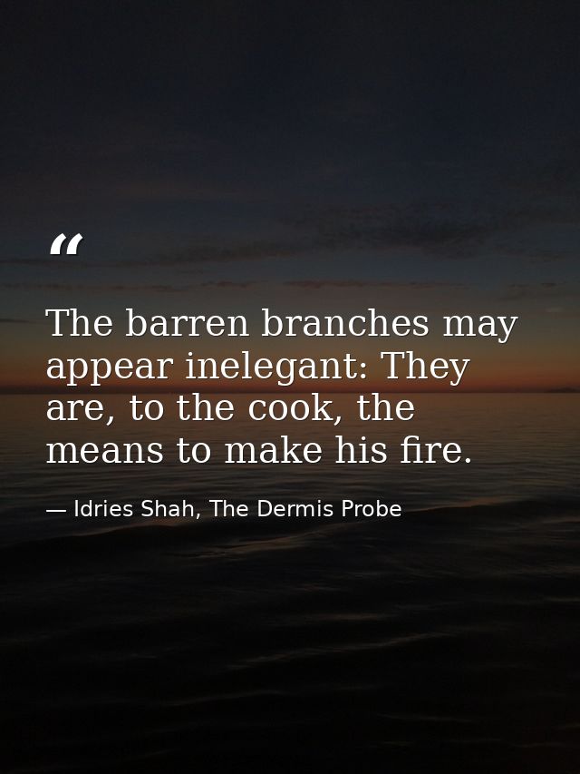 The barren branches may appear inelegant: They are, to the cook, the means to make his fire. — Idries Shah, The Dermis Probe
