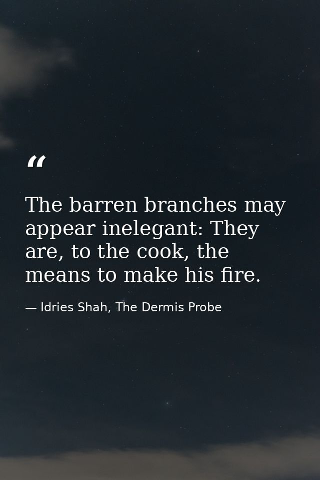 The barren branches may appear inelegant: They are, to the cook, the means to make his fire. — Idries Shah, The Dermis Probe
