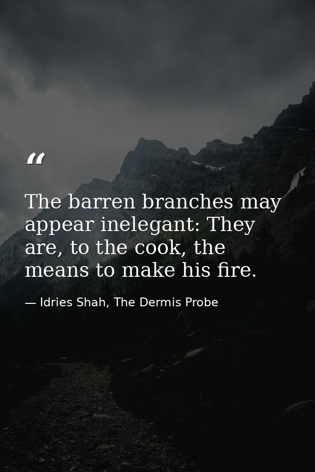 The barren branches may appear inelegant: They are, to the cook, the means to make his fire. — Idries Shah, The Dermis Probe
