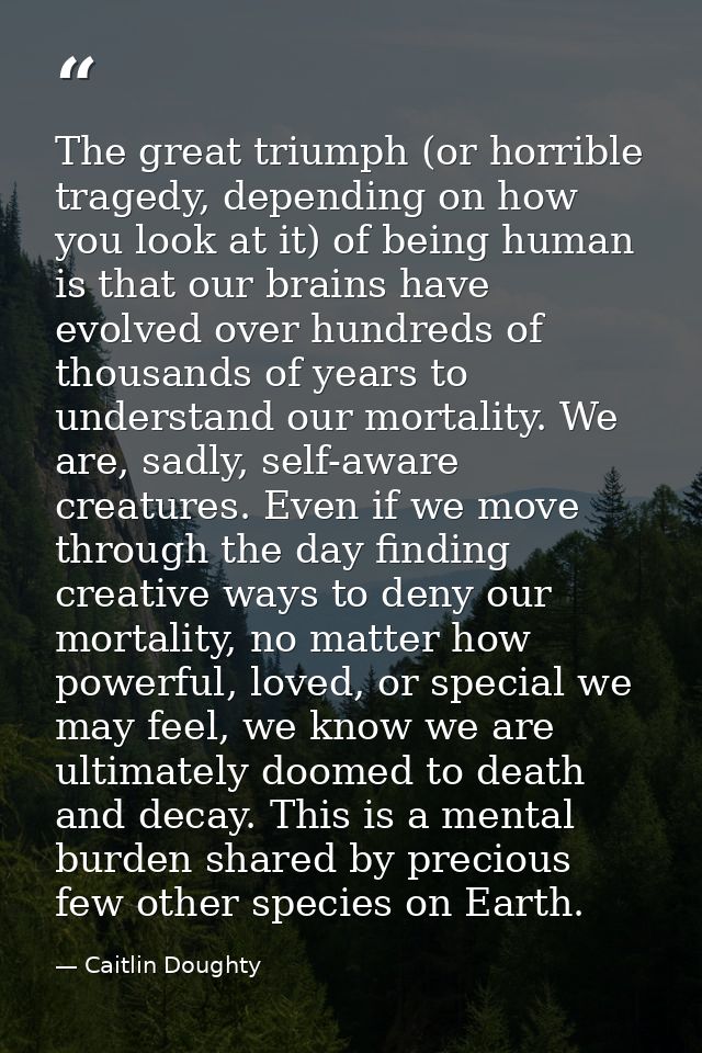 The great triumph (or horrible tragedy, depending on how you look at it) of being human is that our brains have evolved  — Caitlin Doughty