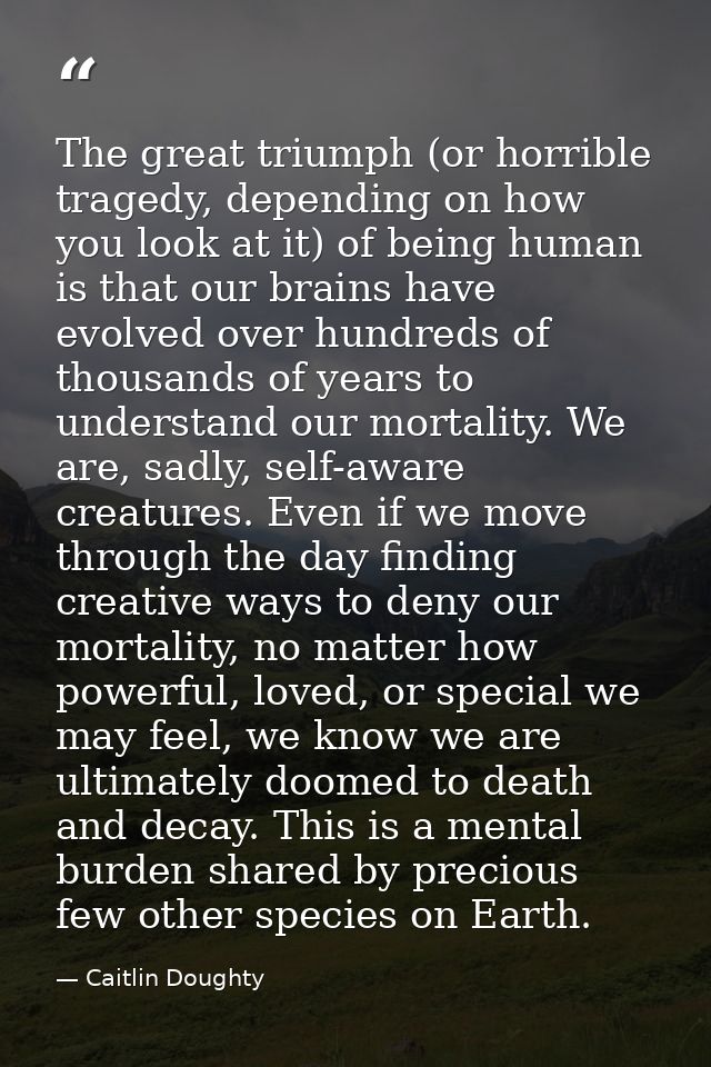 The great triumph (or horrible tragedy, depending on how you look at it) of being human is that our brains have evolved  — Caitlin Doughty