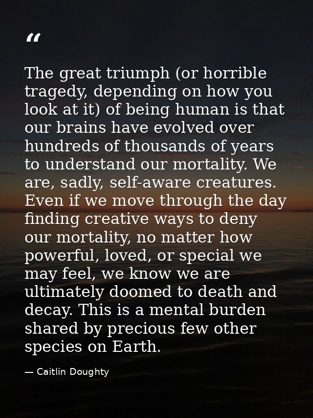The great triumph (or horrible tragedy, depending on how you look at it) of being human is that our brains have evolved  — Caitlin Doughty