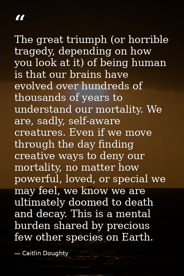 The great triumph (or horrible tragedy, depending on how you look at it) of being human is that our brains have evolved  — Caitlin Doughty