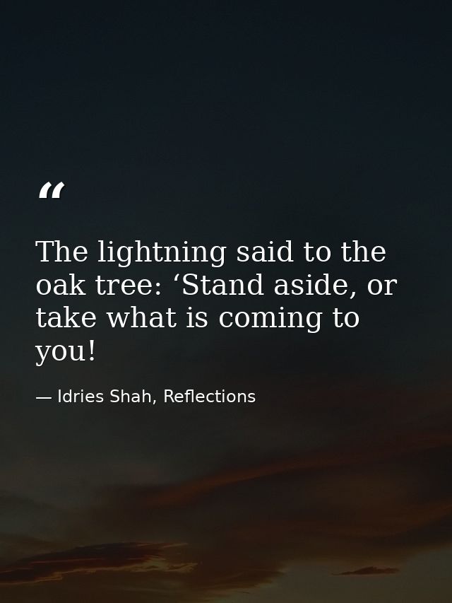 The lightning said to the oak tree: ‘Stand aside, or take what is coming to you! — Idries Shah, Reflections