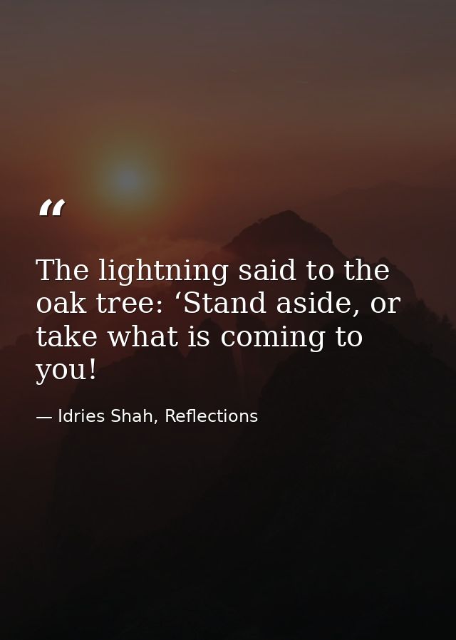 The lightning said to the oak tree: ‘Stand aside, or take what is coming to you! — Idries Shah, Reflections