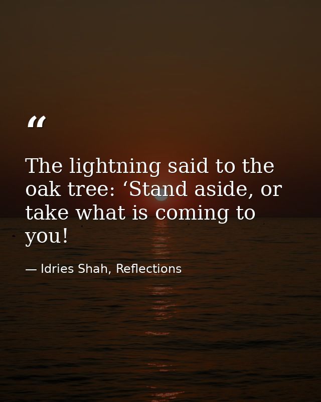 The lightning said to the oak tree: ‘Stand aside, or take what is coming to you! — Idries Shah, Reflections