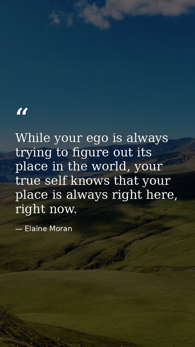 While your ego is always trying to figure out its place in the world, your true self knows that your place is always rig — Elaine Moran