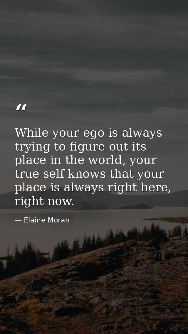 While your ego is always trying to figure out its place in the world, your true self knows that your place is always rig — Elaine Moran