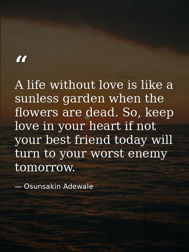 A life without love is like a sunless garden when the flowers are dead. So, keep love in your heart if not your best fri — Osunsakin Adewale