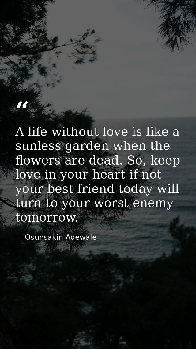 A life without love is like a sunless garden when the flowers are dead. So, keep love in your heart if not your best fri — Osunsakin Adewale
