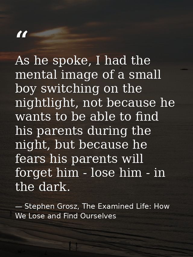 As he spoke, I had the mental image of a small boy switching on the nightlight, not because he wants to be able to find  — Stephen Grosz, The Examined Life: How We Lose and Find Ourselves