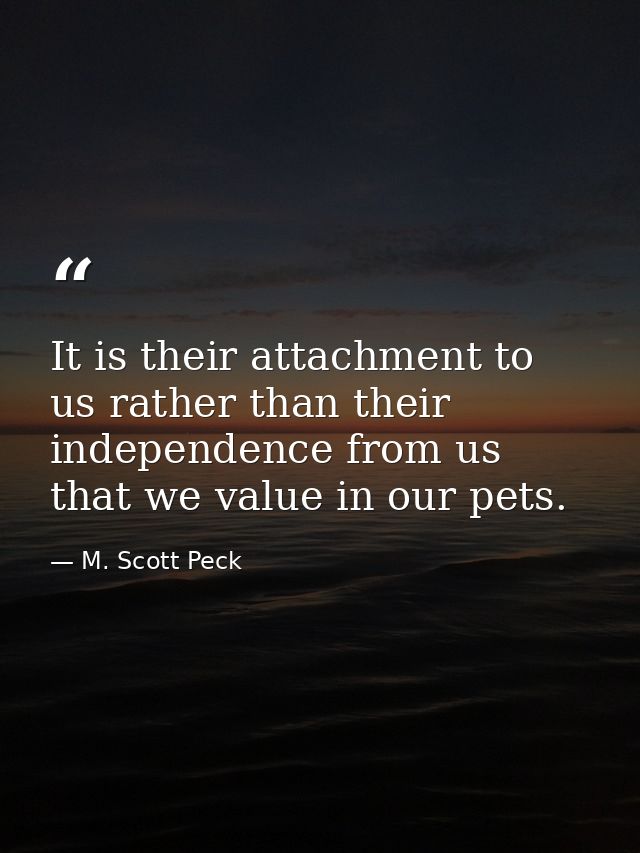 It is their attachment to us rather than their independence from us that we value in our pets. — M. Scott Peck