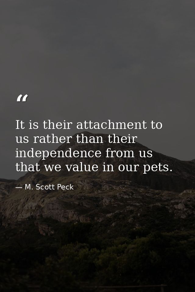 It is their attachment to us rather than their independence from us that we value in our pets. — M. Scott Peck