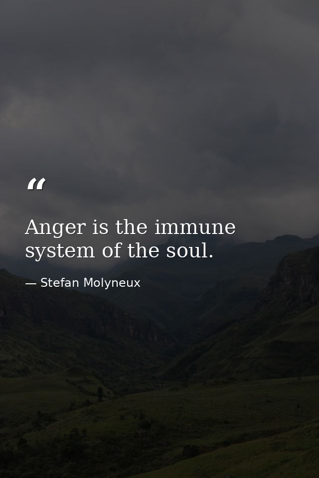 Anger is the immune system of the soul. — Stefan Molyneux