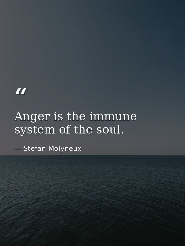 Anger is the immune system of the soul. — Stefan Molyneux