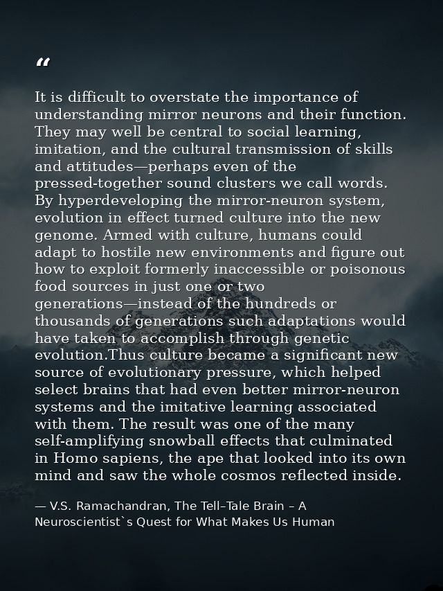 It is difficult to overstate the importance of understanding mirror neurons and their function. They may well be central — V.S. Ramachandran, The Tell–Tale Brain – A Neuroscientist`s Quest for What Makes Us Human