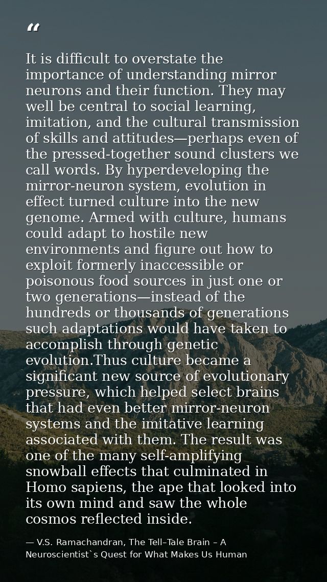 It is difficult to overstate the importance of understanding mirror neurons and their function. They may well be central — V.S. Ramachandran, The Tell–Tale Brain – A Neuroscientist`s Quest for What Makes Us Human