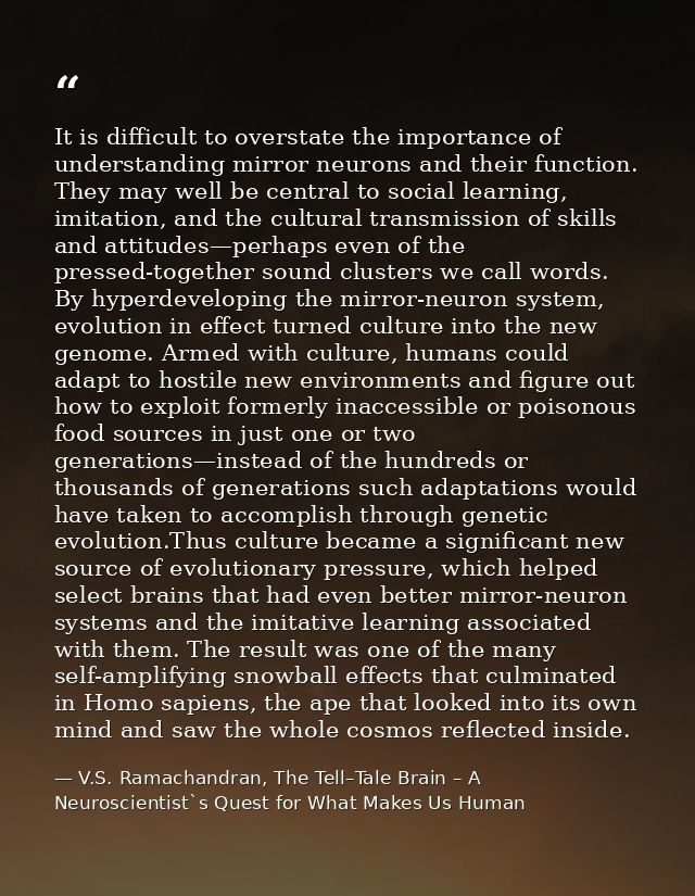 It is difficult to overstate the importance of understanding mirror neurons and their function. They may well be central — V.S. Ramachandran, The Tell–Tale Brain – A Neuroscientist`s Quest for What Makes Us Human