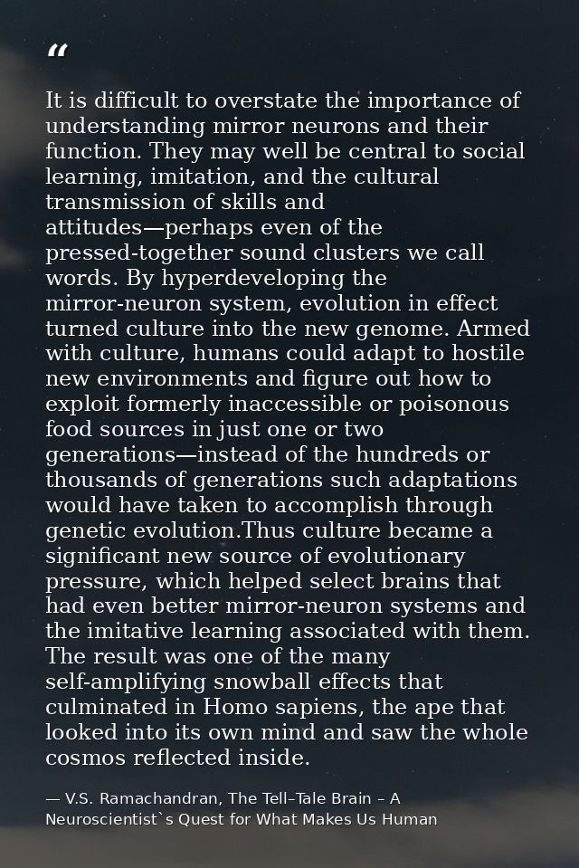 It is difficult to overstate the importance of understanding mirror neurons and their function. They may well be central — V.S. Ramachandran, The Tell–Tale Brain – A Neuroscientist`s Quest for What Makes Us Human