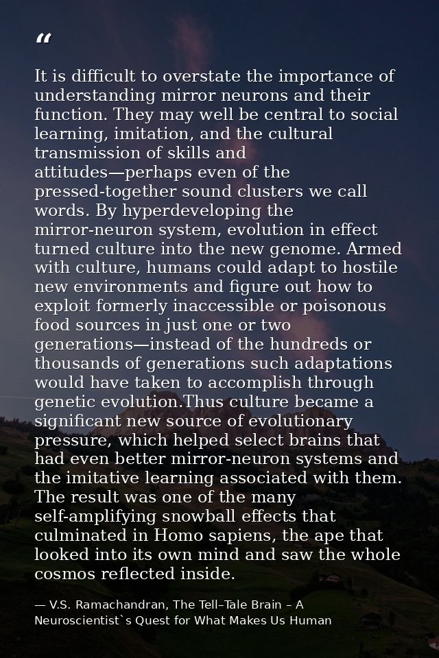 It is difficult to overstate the importance of understanding mirror neurons and their function. They may well be central — V.S. Ramachandran, The Tell–Tale Brain – A Neuroscientist`s Quest for What Makes Us Human