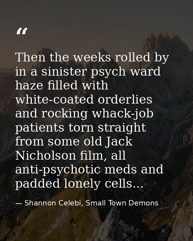 Then the weeks rolled by in a sinister psych ward haze filled with white-coated orderlies and rocking whack-job patients — Shannon Celebi, Small Town Demons