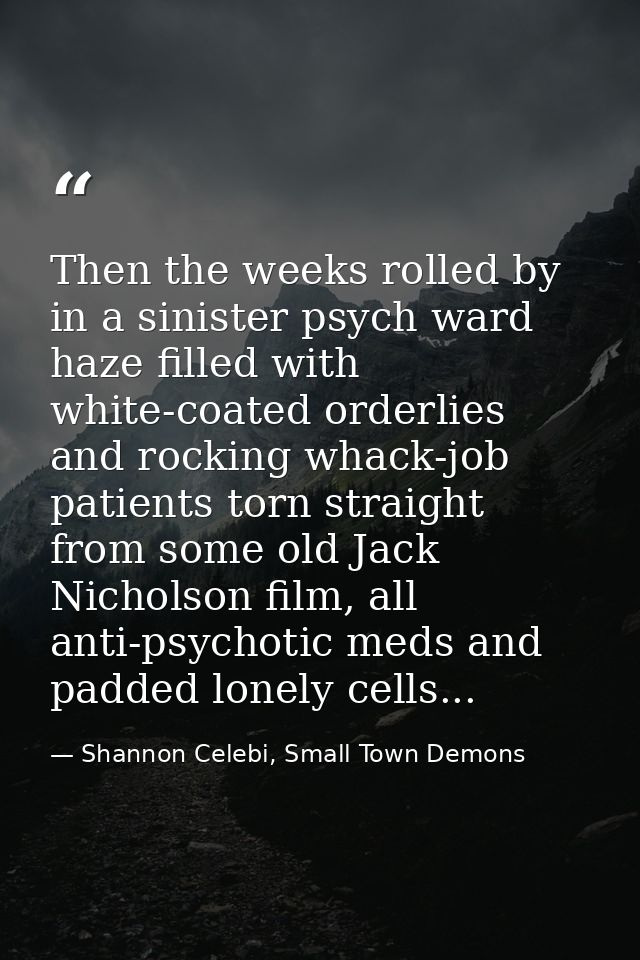Then the weeks rolled by in a sinister psych ward haze filled with white-coated orderlies and rocking whack-job patients — Shannon Celebi, Small Town Demons